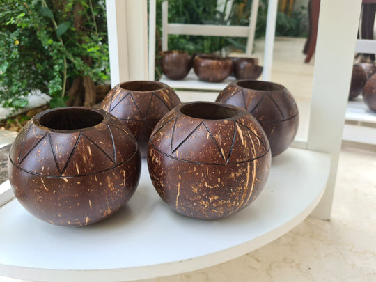 Zig-Zig Shaped Coconut Planter | Indoor Plants, Succulents (1 Pot)
