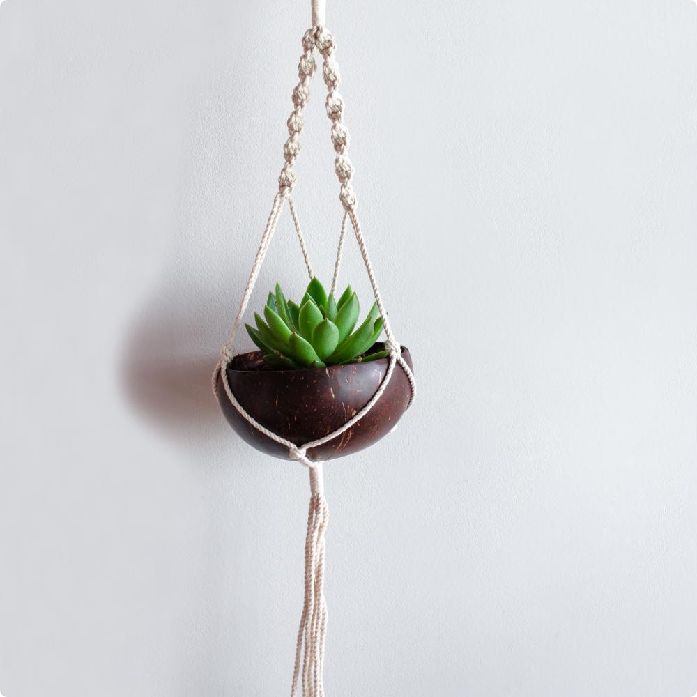 shell plant hanger Coconut shell macrame plant hanger for Indoor & balcony – Solace Luxe