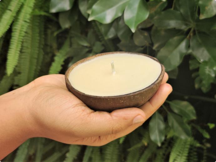 Eco-Friendly Coconut Shell Candle ( Set of 2 )