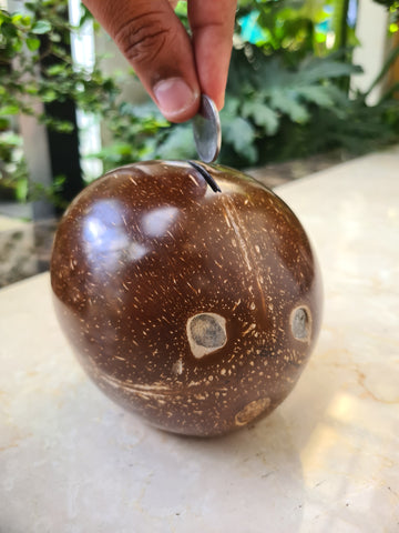 Coconut Piggy Bank (Openable at the Bottom)