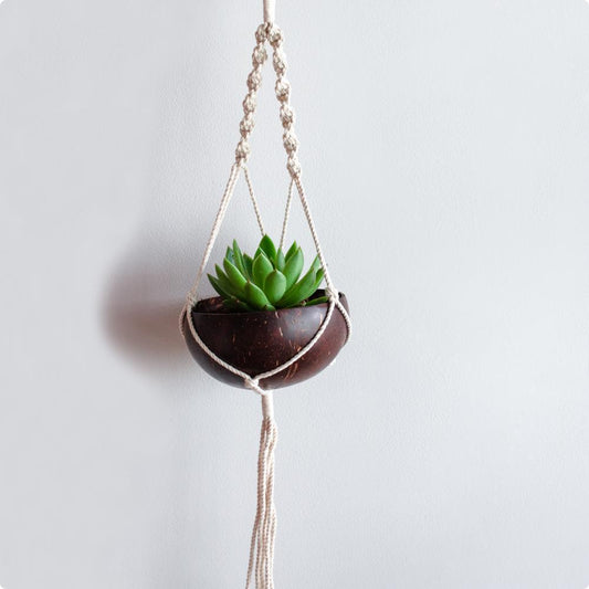 Coconut shell macrame plant hanger for Indoor & balcony