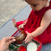 Coconut Shell Christmas Bowl - Decorative, Natural & Eco-Friendly - 500 ML