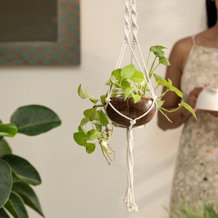 Coconut shell macrame plant hanger for Indoor & balcony