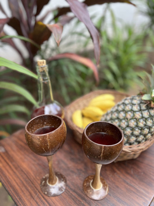 Coconut Shell/Wooden Wine Glass ( Set of 2 )