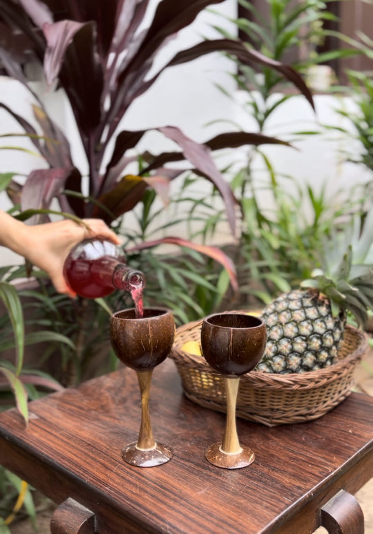 Coconut Shell/Wooden Wine Glass ( Set of 2 )