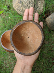 Coconut Planter | Indoor Plant Pots | Handmade