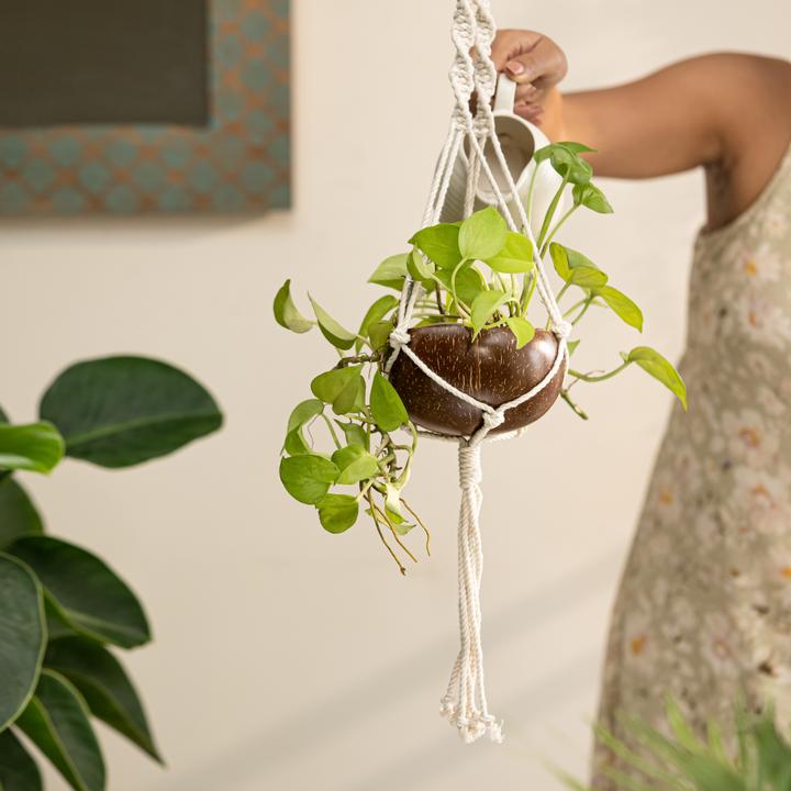 Coconut shell macrame plant hanger for Indoor & balcony