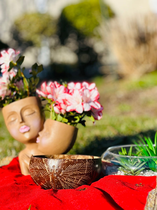 Coconut Shell Bowl