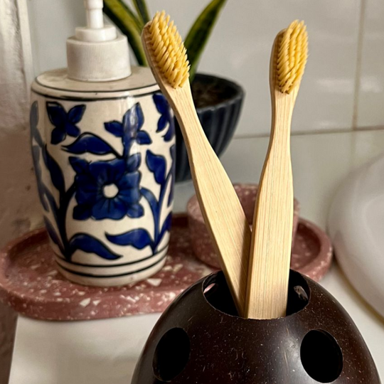 Eco-Friendly Coconut Shell Toothbrush Holder