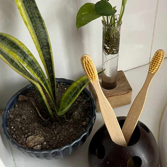 Eco-Friendly Coconut Shell Toothbrush Holder